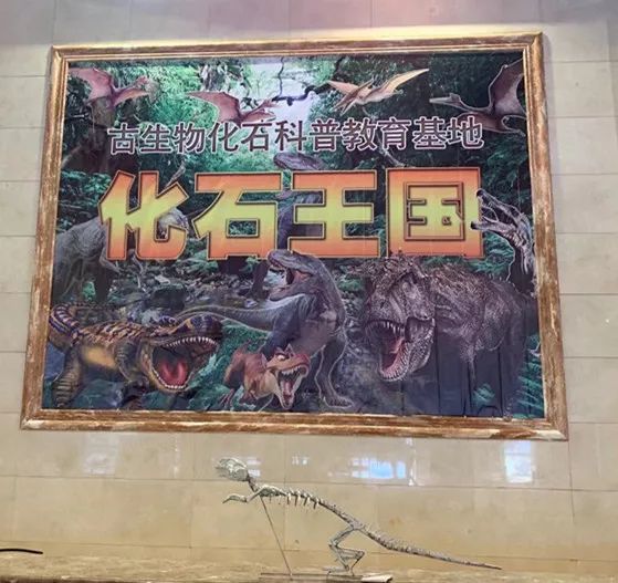 北京运河苑温泉水世界,好似闹市中的“瑶池仙境”,乐在水世界