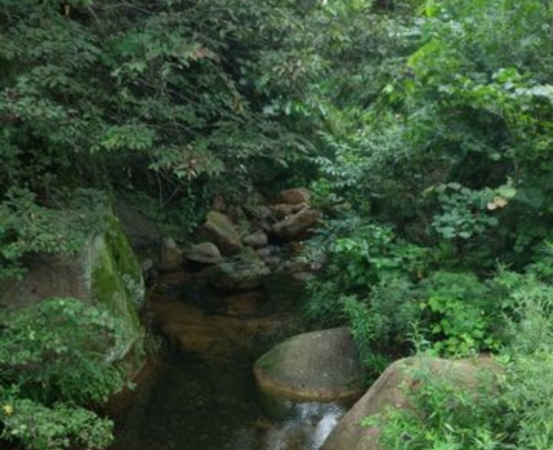 好运谷风景区在维护吗,好运谷风景区好玩吗