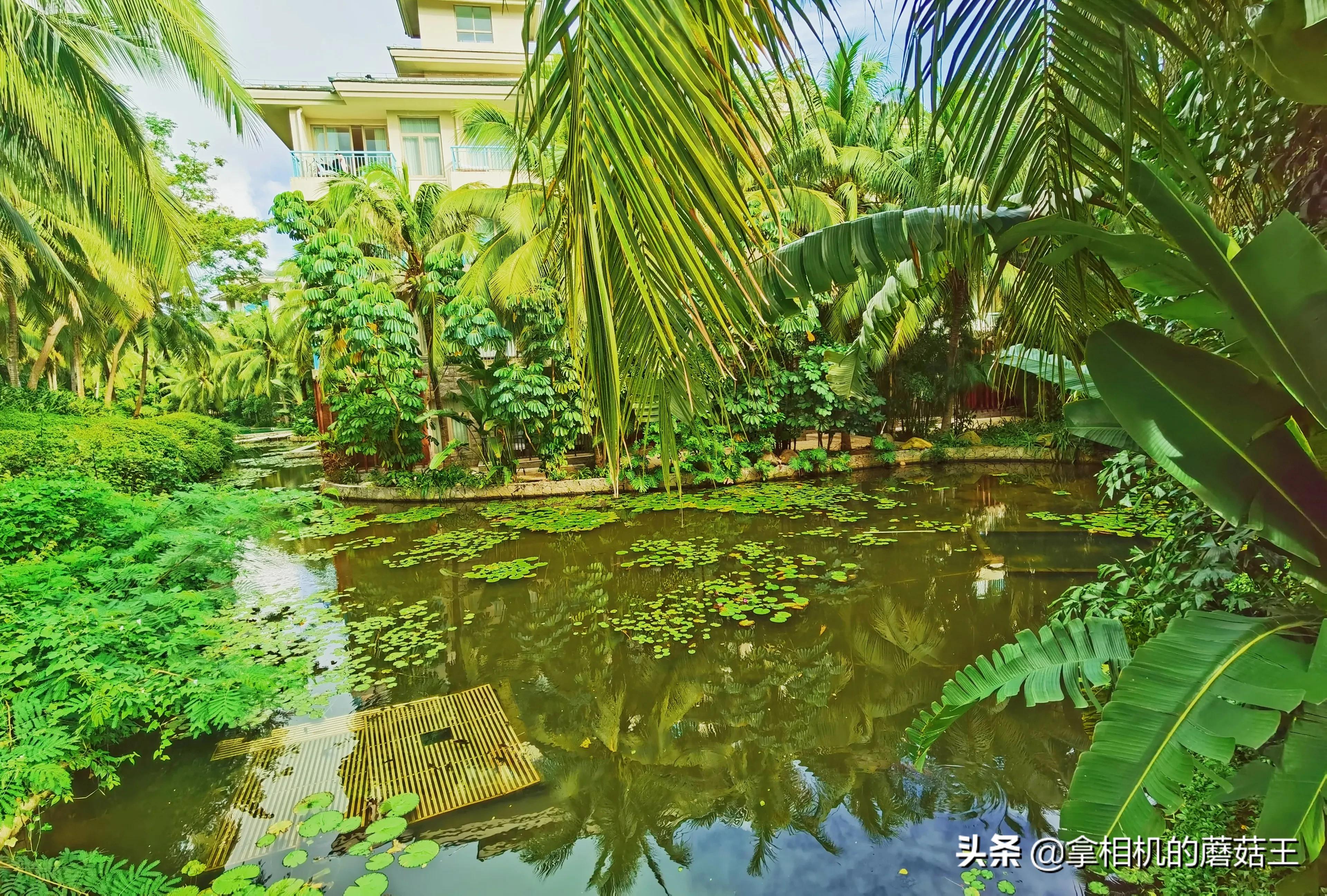 亚龙湾四星酒店价格表,亚龙湾套餐哪个合适