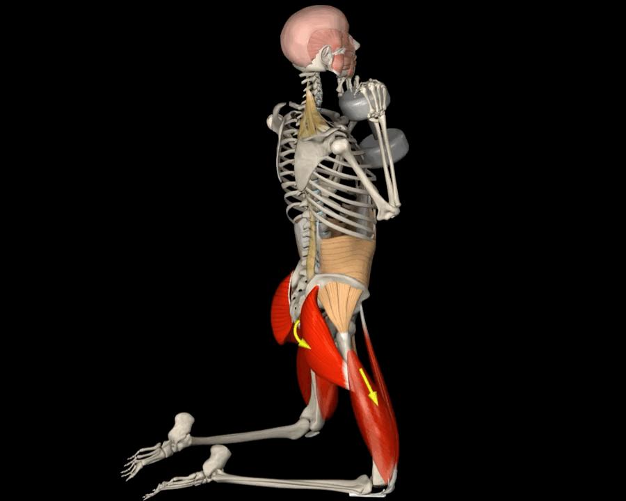 老年人蹲马步的正确方法,老年人膝盖疼蹲不下去怎么锻炼