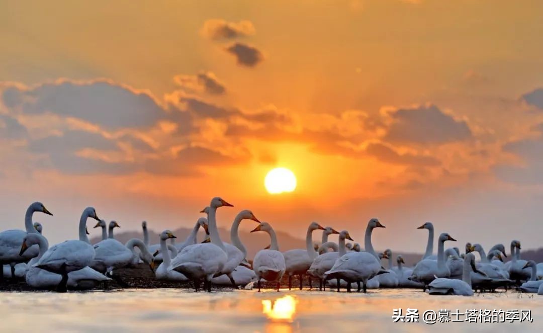 中国北方最美的两个海滨城市,中国沿海气候最好的城市