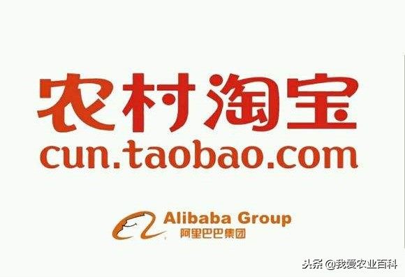 我们的农产品怎么在互联网售卖