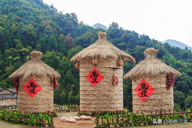 怎么有效消灭小麦里的麦牛,农村粮仓生虫怎么办