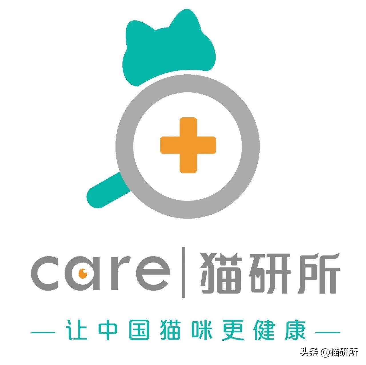 一张图了解猫咪的超能力,一张图看懂猫咪血气分析