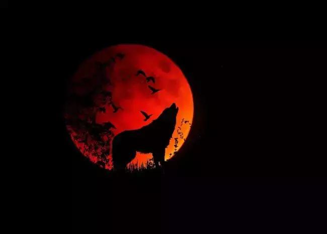 “血月见,妖孽现”丨2019年的这颗红月亮,送给北美~