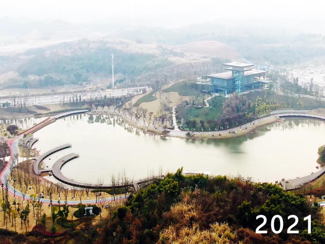 东部新区与天府新区,东部新区和天府新区