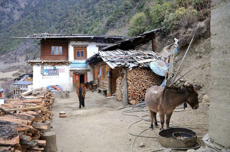 雪山脚下的雨崩村徒步,雨崩村徒步之旅