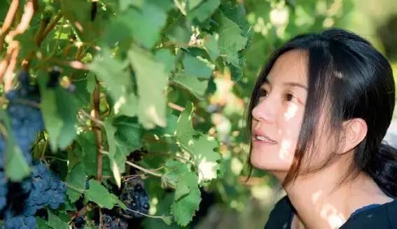 扒一扒那些饮品店的秘密,国内葡萄酒现状如何了