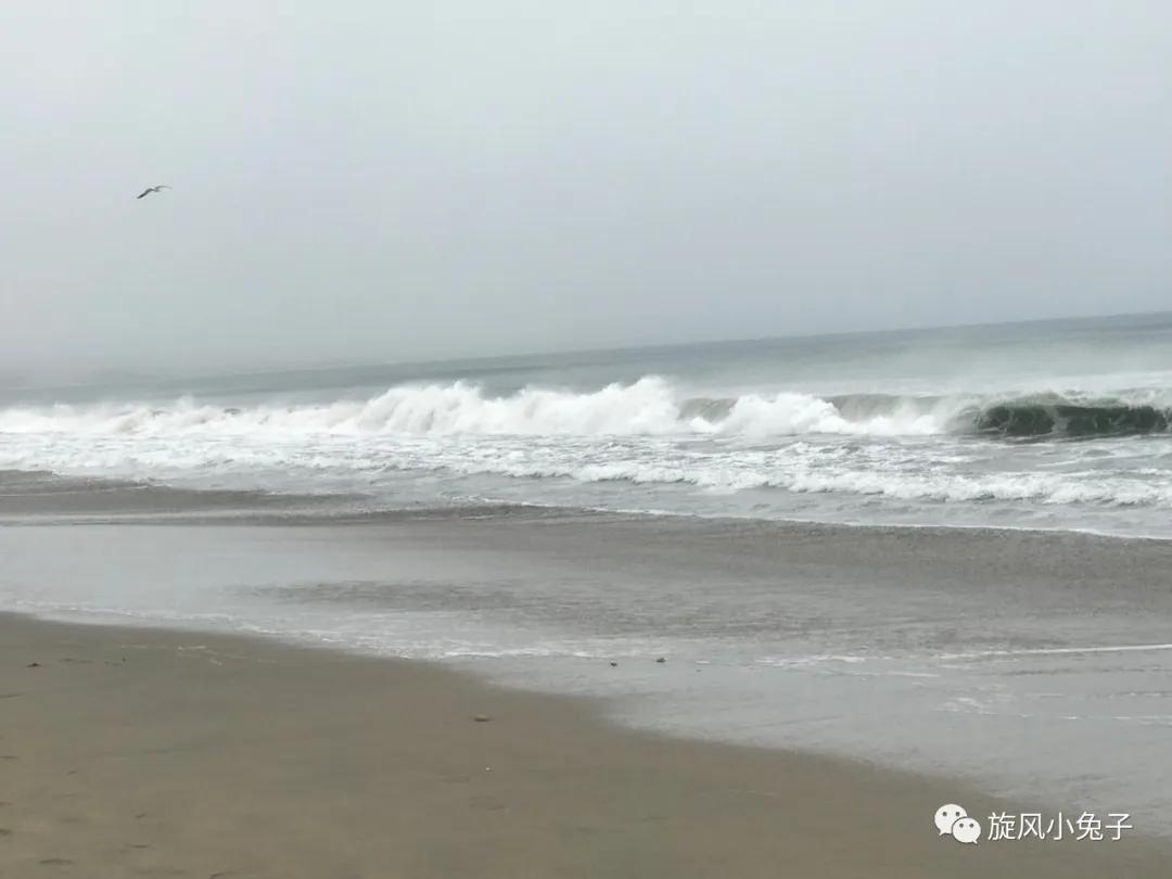 加州沿海1号公路,加州沿海一号公路一日游推荐