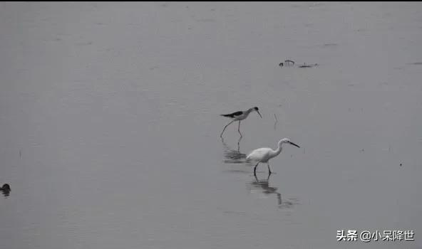 回顾一下在深圳打工的日子,来深圳打工三年了