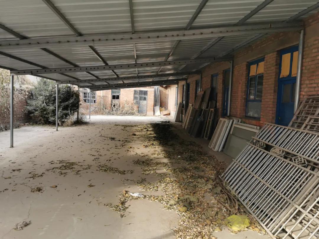 废弃厂房里的“卖肾”交易：买肾人花55万，卖肾人得4.5万！