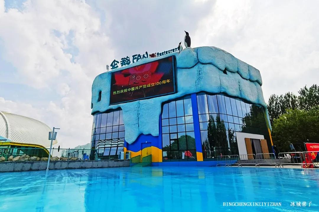 走进哈尔滨完整视频,走进哈尔滨海洋馆