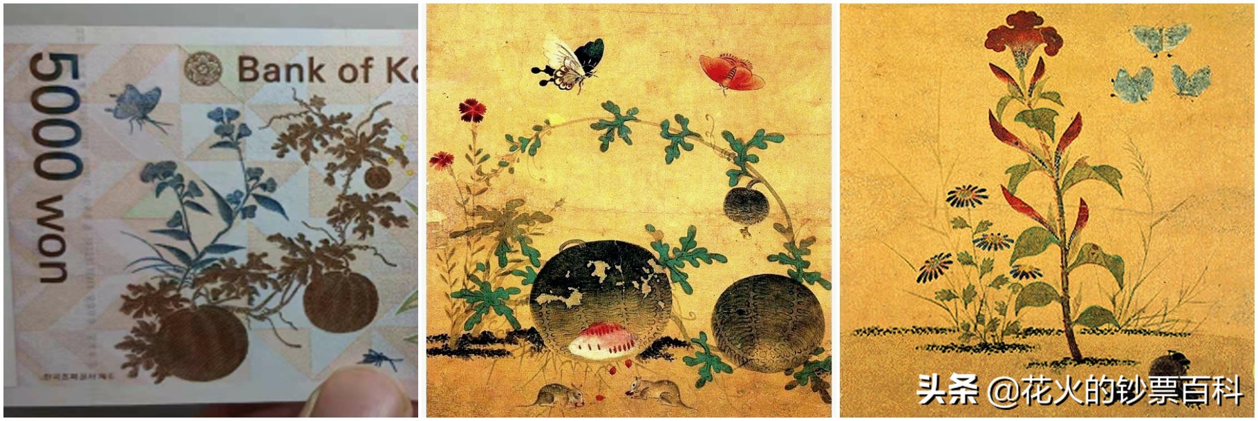 韩国面值最大的纸币是什么,韩国最高面额纸币有一百万吗