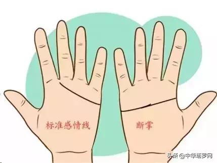 手相之感情线揭露感情的秘密,手相感情线大全图