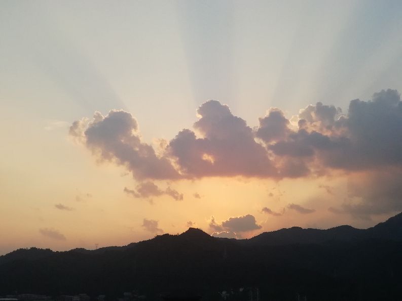 洛阳栾川竹海野生动物园值得去吗,洛阳栾川竹海野生动物园都有什么