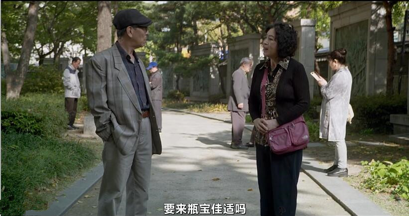 韩国酒神小姐全剧,韩国电视剧酒神小姐