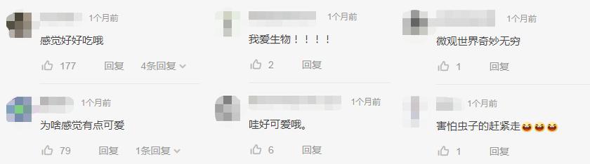 她让20万人爱上一种菌：像西米露，又似咸蛋黄，网友直呼太神奇