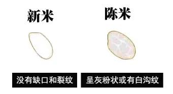陈米翻新能辨别么,大米陈米怎么辨别