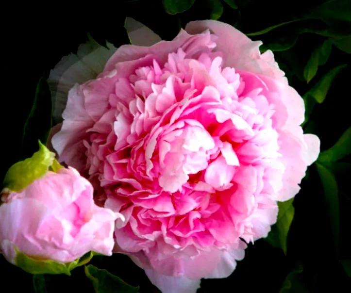 看病那些事儿完整版,看病奇葩事儿