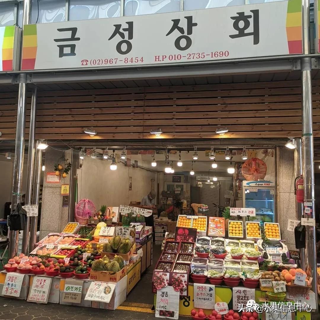 韩国的蔬菜水果批发市场,韩国最便宜的苹果水果