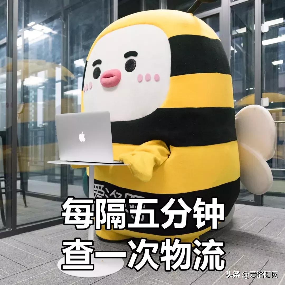 双十一账单图,双十一账单查询2020