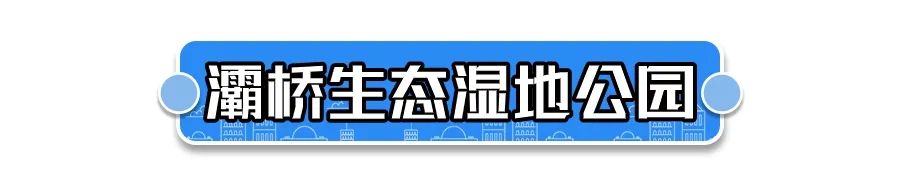 西安周边踏青免费一日游,西安周边油菜花踏青好去处