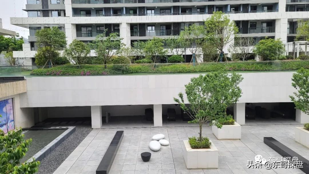 万万没想到，他捅了郑州刚需盘的“窗户纸”