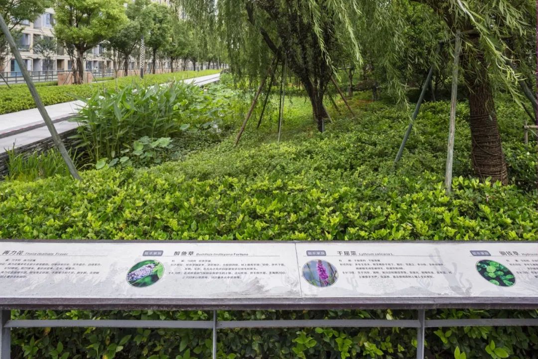 杭州地铁绿城杨柳郡电话,杭州拱墅区绿城运河地铁