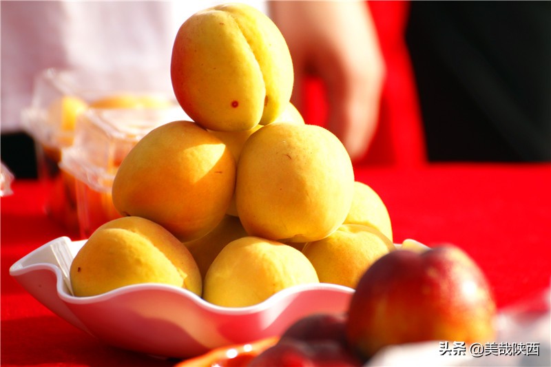 水果之乡陕西大荔,不讲理的大荔县典故