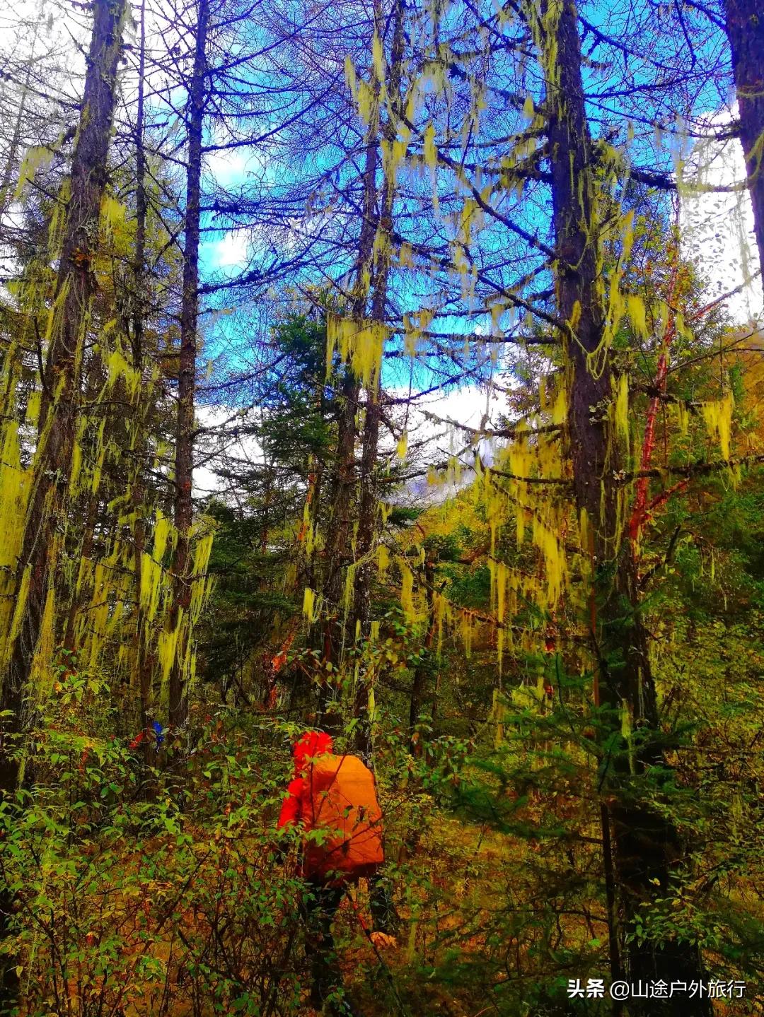 步步惊心的一天,步步惊心12剧情