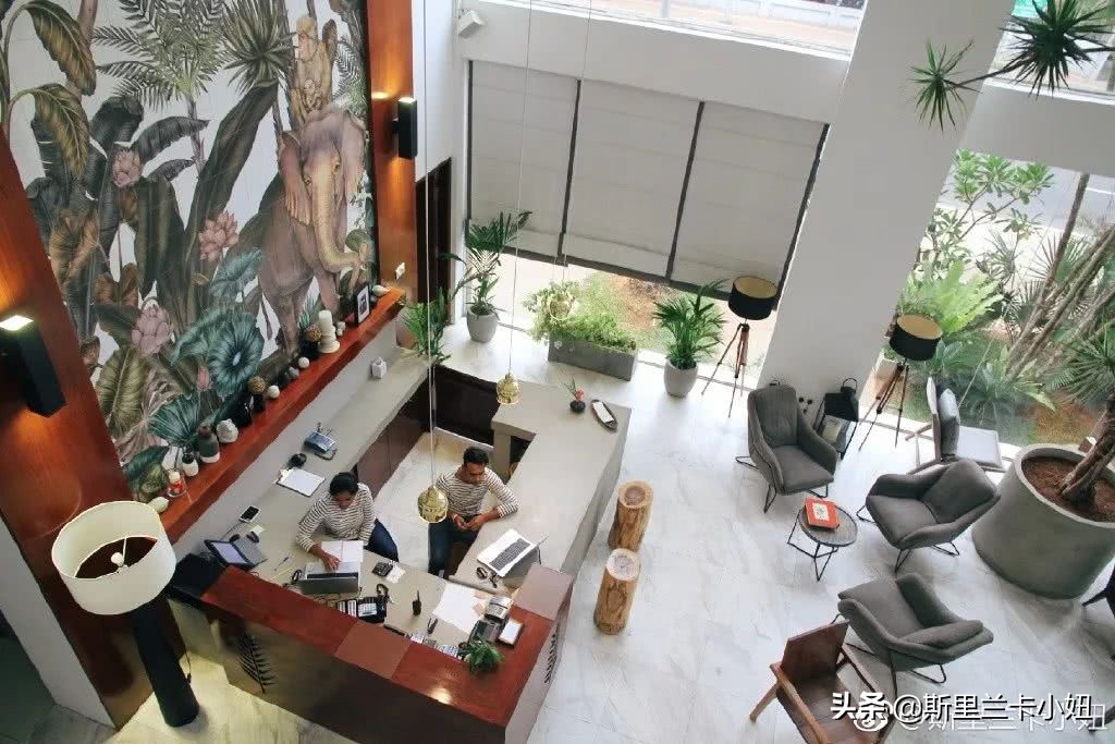 科伦坡淡山茱萸粉ins风酒店:清新艺术气质流行色不仅穿身上