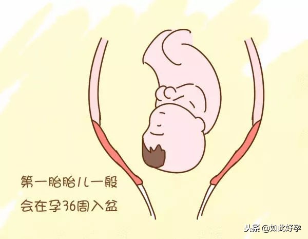 胎儿到了预产期还不入盆会不会傻,到预产期了胎儿迟迟不入盆怎么办