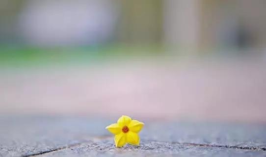 朋友圈赞爆的照片,赞爆朋友圈的小视频