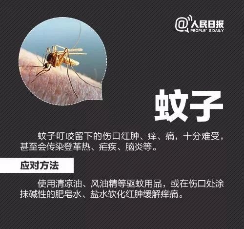 虫子叮咬引发疾病,虫子叮咬会得什么病