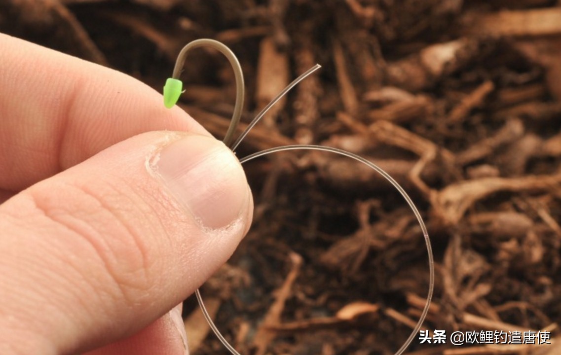 欧鲤钓钓组篇,欧鲤钓组和飞德钓组