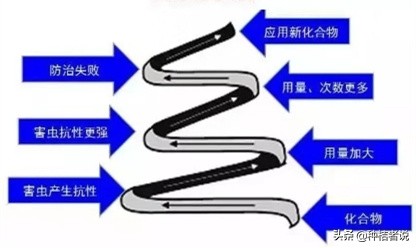 柑橘红蜘蛛什么天气多,柑橘红蜘蛛高温天气会不会爆发