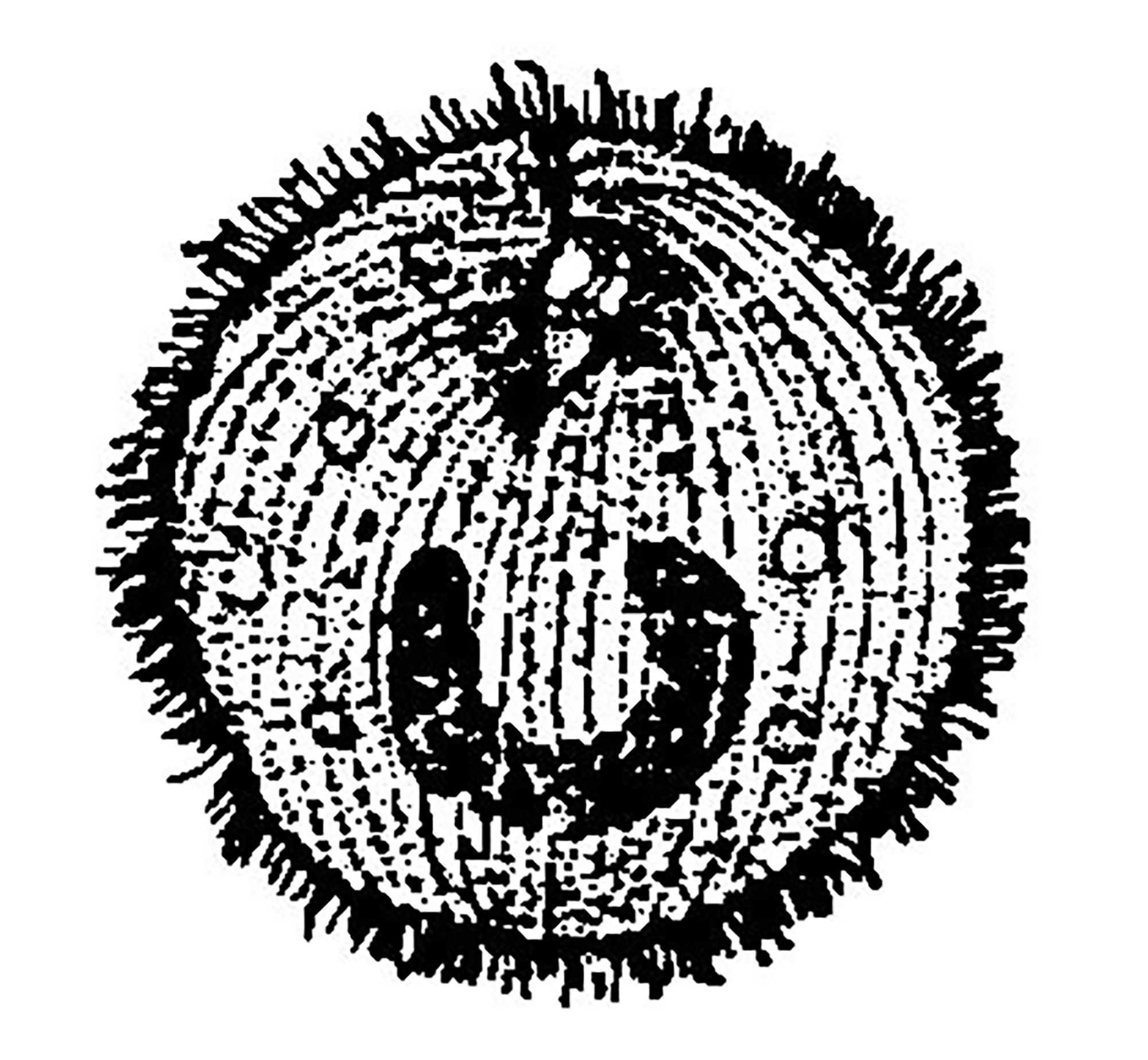 锦鲤鱼缸温度32度可以治白点病吗,锦鲤鱼白点病怎么治最快