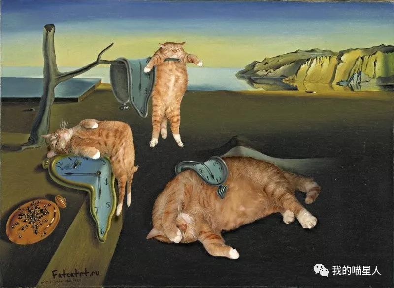 胖橘猫画作,一位画家把自己的猫画成卡通人物