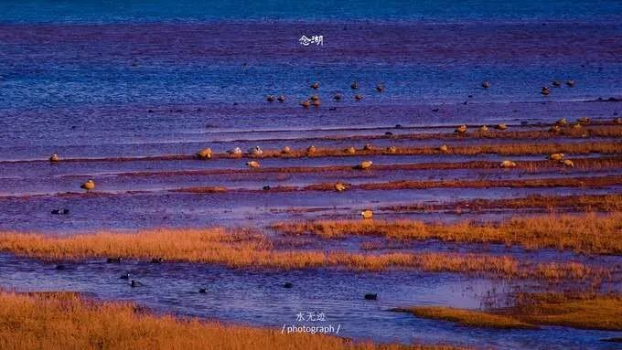 这座低调的小城,凭什么跻身云南6大国家历史文化名城之列?