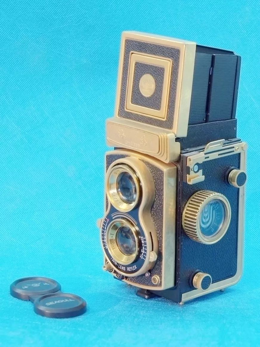 海鸥照相机品牌历史和现状,海鸥相机有几个型号