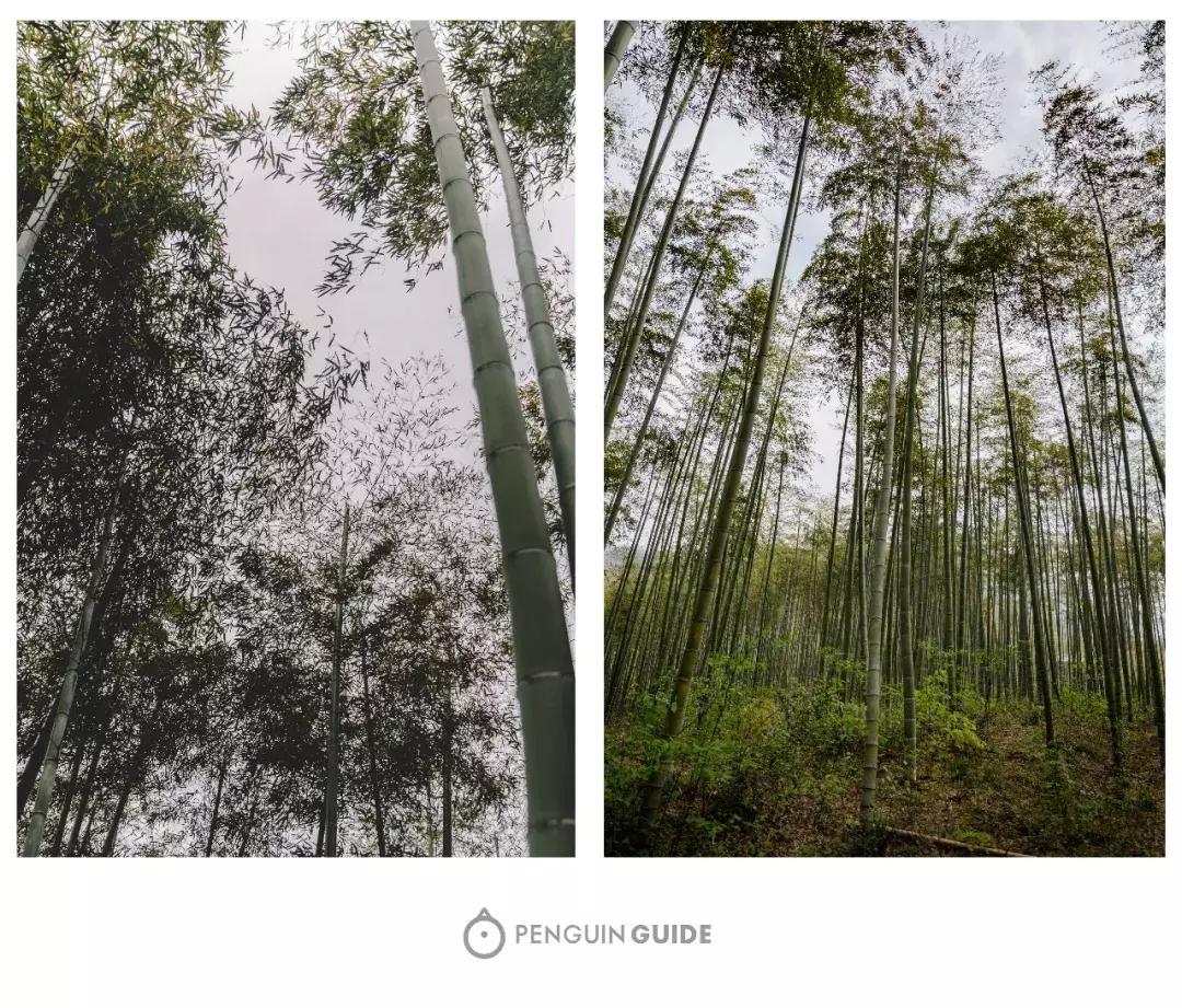 湖州：一座太湖南边的宝藏小城，春笋湖鲜河鱼，嘴巴好忙