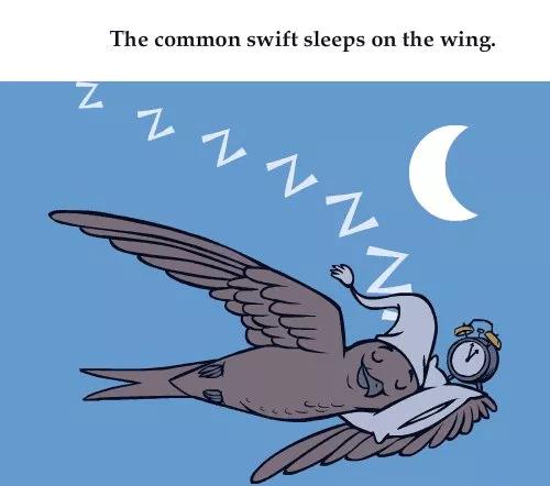 你知道吗冷知识,冷知识你知道吗解说