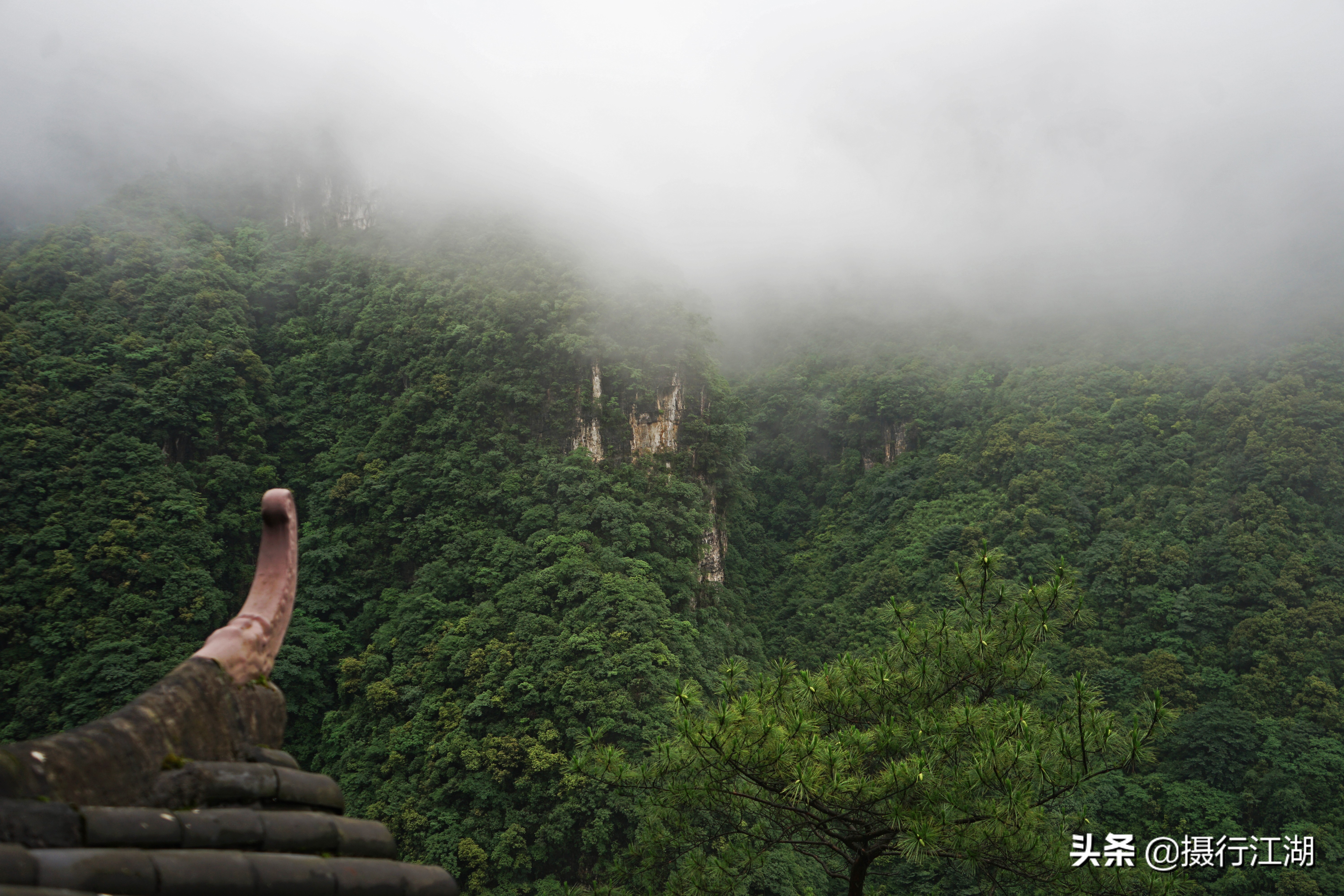 避暑秘境神龙峡，在飞瀑流泉的原始谷底来一场随遇而安的漂流
