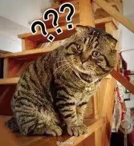 去香港澳门哪些东西不能带,香港澳门出境不能多带的东西