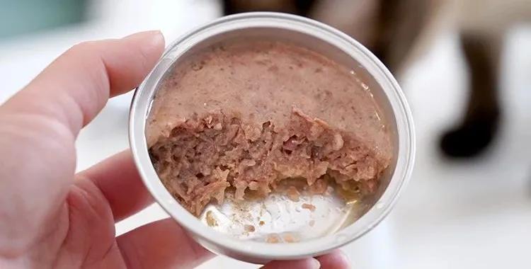 猫罐头如何选看完这些你就知道了,怎么选猫罐头好看