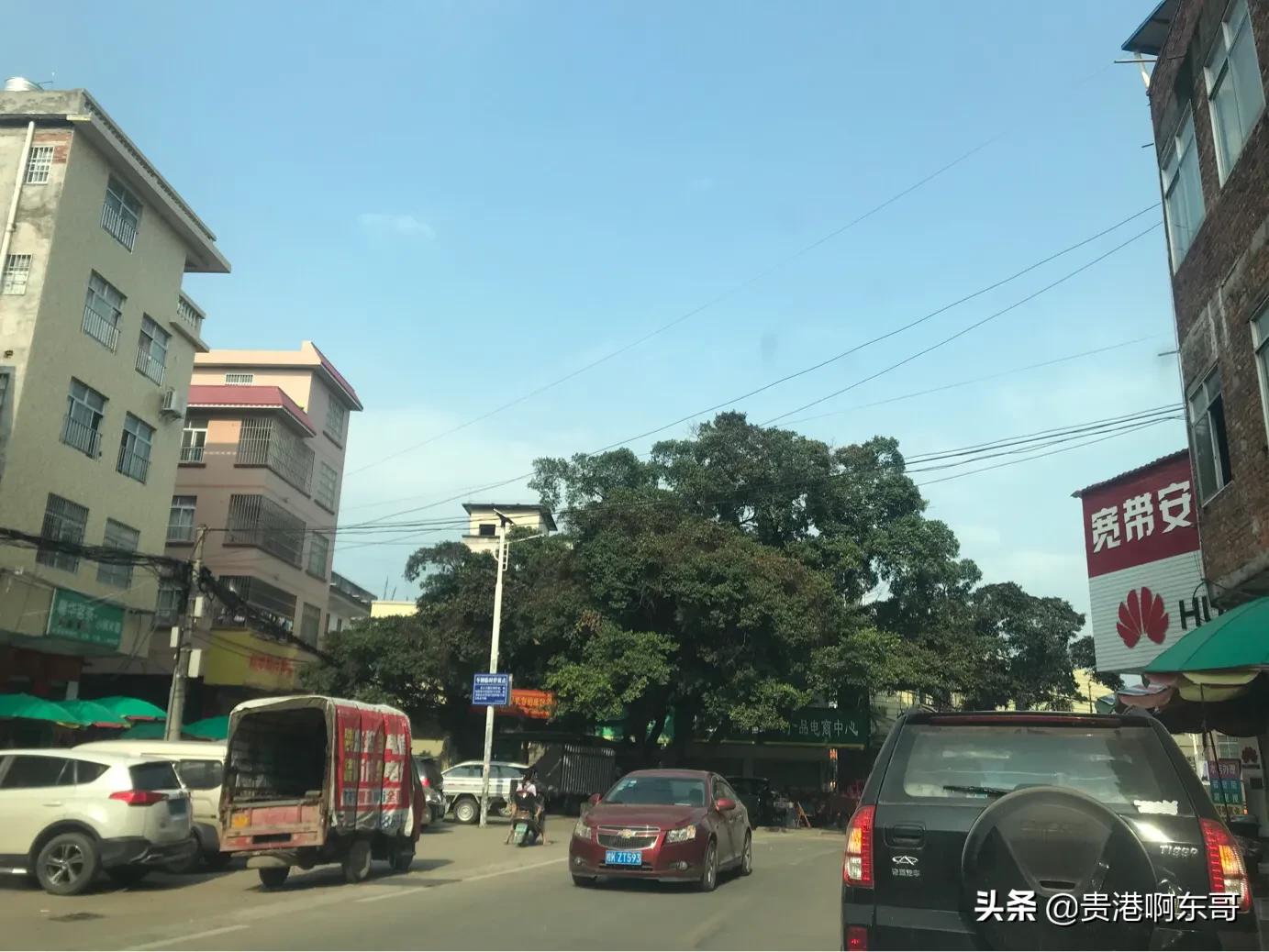 贵港庆丰镇有几个村,贵港庆丰镇都兰村