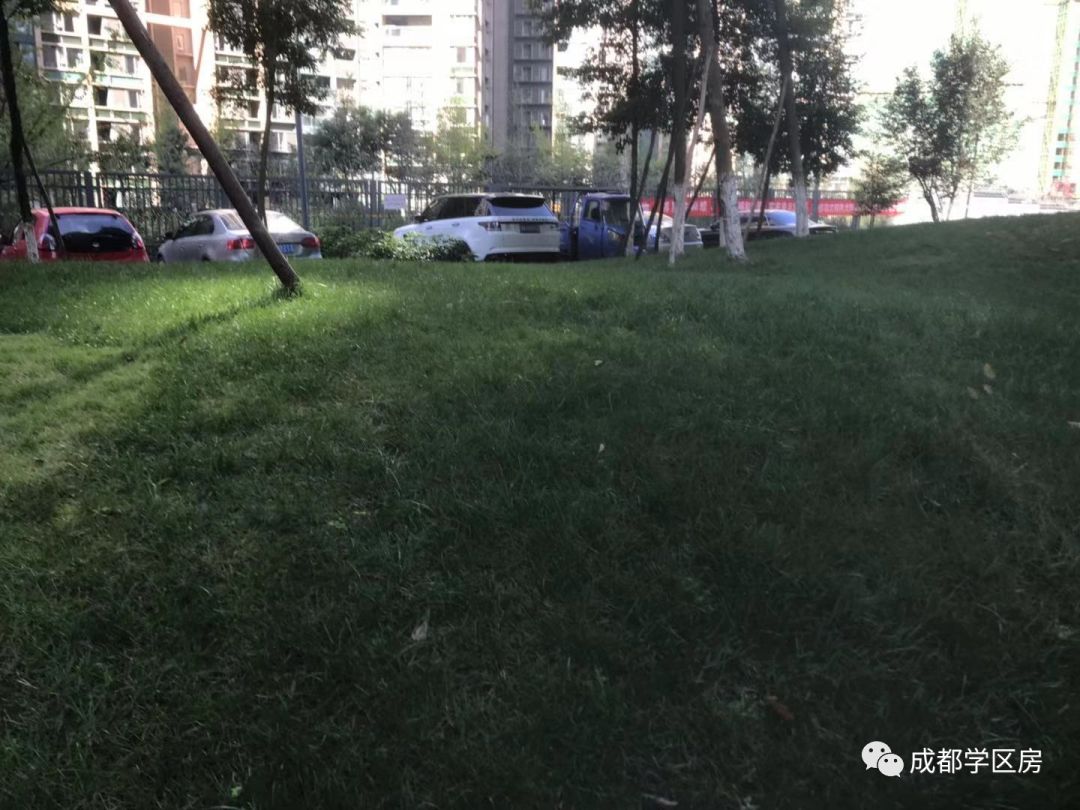 天府新区第五小学排名,天府新区a区学区房