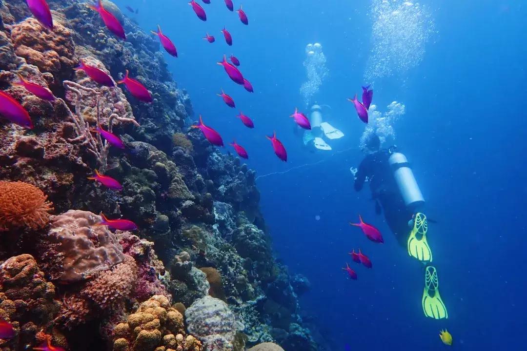 国庆中秋节嗨起来,中秋国庆双节嗨起来