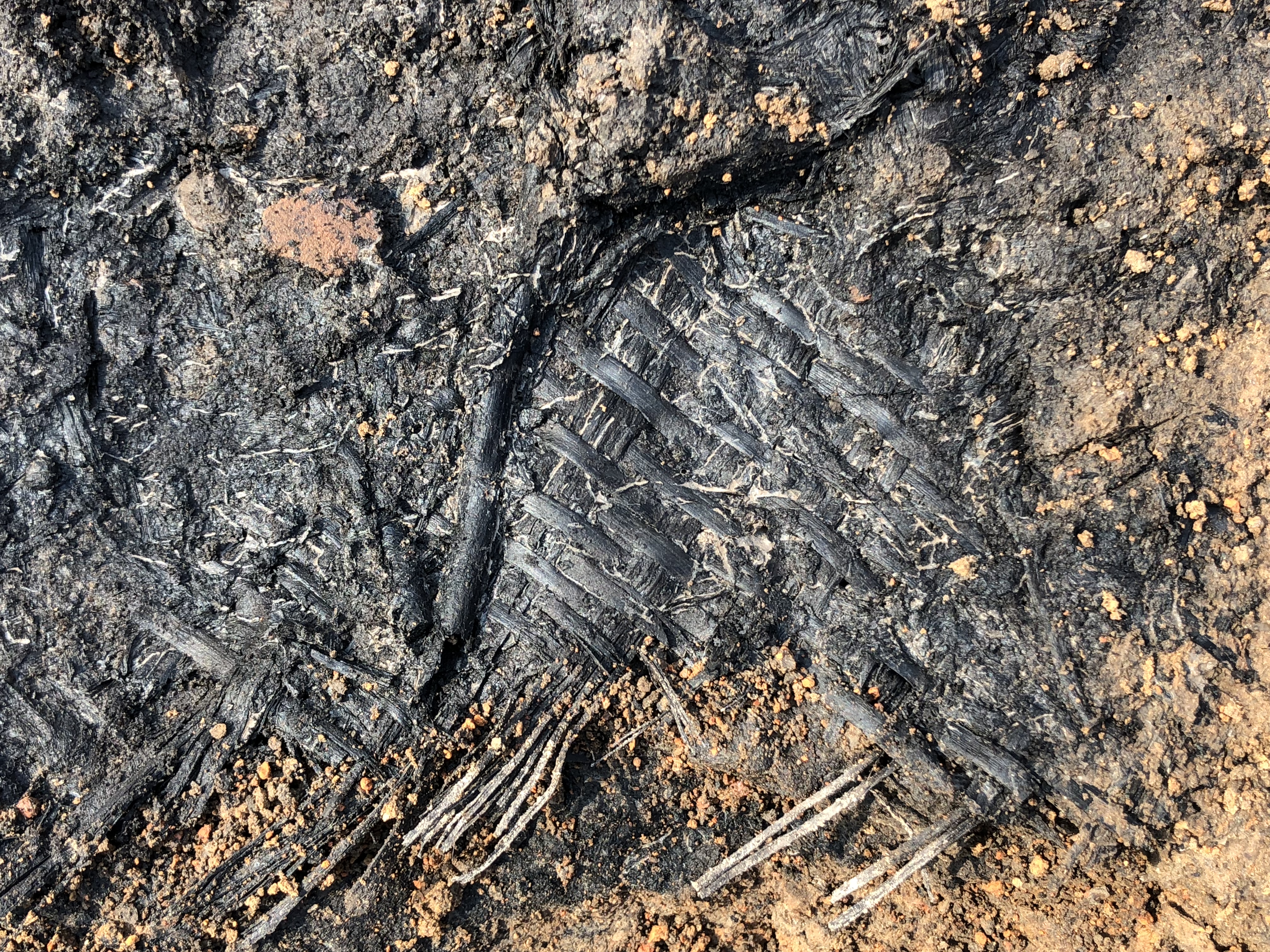 穿越600年前的大明,穿越81年的视频