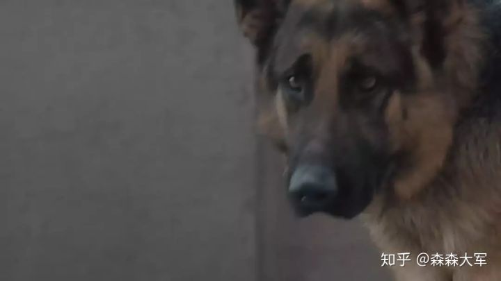 在《色戒》的床戏中找到本片主题思想